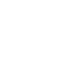 Лице